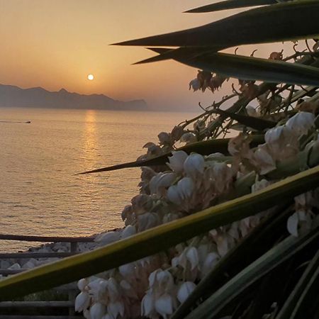 Loft In Balestrate Vicino Al Mare - Rental Beb Zewnętrze zdjęcie
