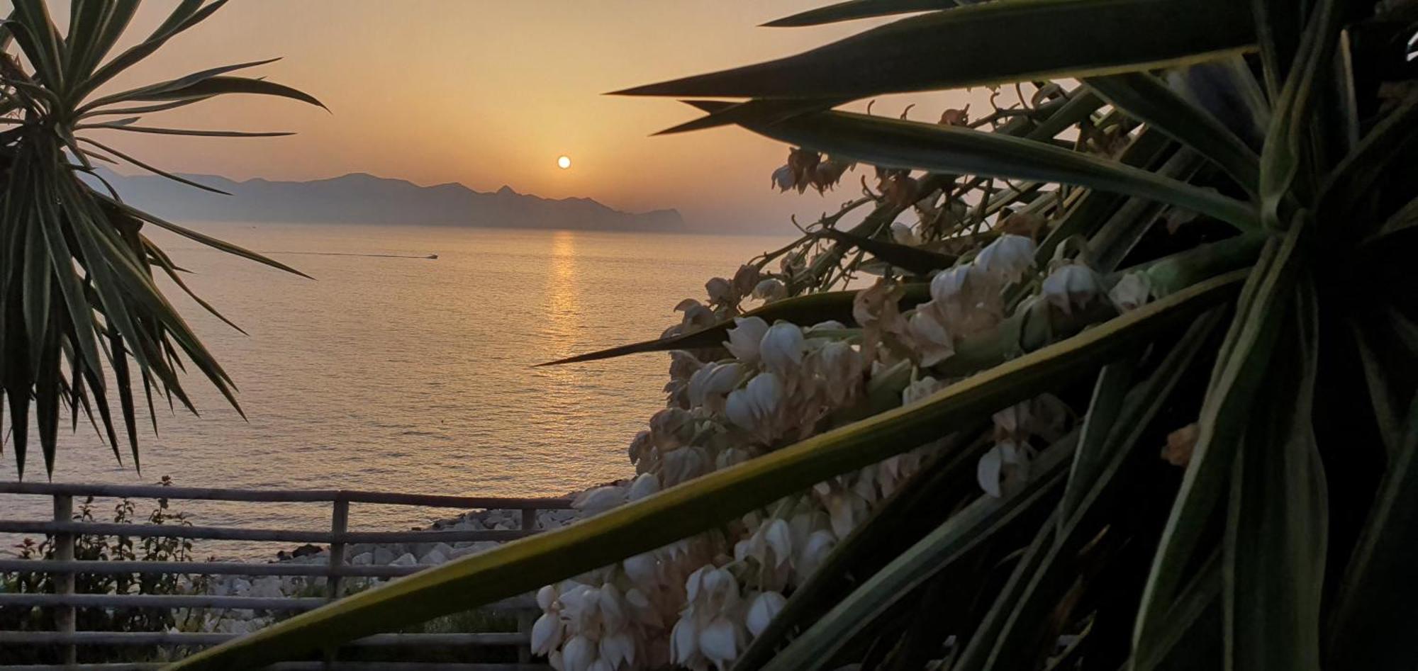 Loft In Balestrate Vicino Al Mare - Rental Beb Zewnętrze zdjęcie